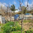 승모농장 이미지