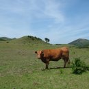 하도목장 이미지