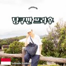 화산 | 인도네시아 반둥 여행 탕쿠반 프라후 화산투어 후기