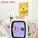 주식회사 제주펫 이미지