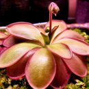 원트 청주 상당 이미지