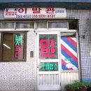 동네미용실 브런치