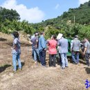 임가농장 이미지