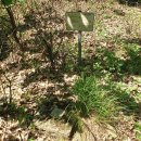 광덕4리 이미지