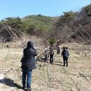 동현농장2 이미지