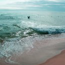 파도소리 이미지