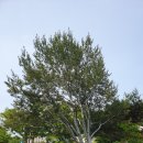 농업인상담소 옆 이미지