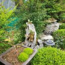 자연속에 둥지펜션 이미지