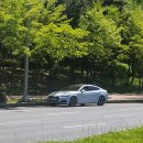 닥터스테리 이미지