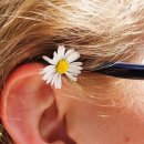 귀건강상담학 이미지