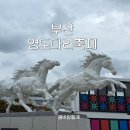 수협 앞 횡단보도 | 부산 영도다리축제 후기 셔틀버스 타는 곳