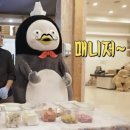 스테이 대치 이미지