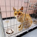 CU통영안정골드점 이미지