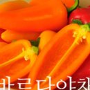 바른야채 이미지