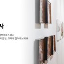 미미존 이미지