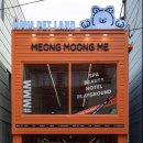 24시애견미용 이미지