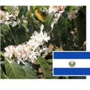 가작농장 이미지