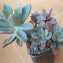 원종화장품 이미지