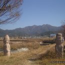 벅시 - 중구 종로 35 | 벅시