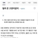 밀교에 빌려온 고양이 같이 서있는중 이미지