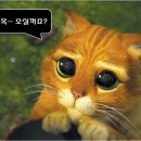 금반농장1 이미지