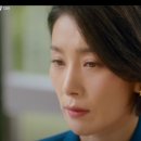 카덴차 이미지