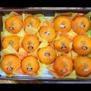 신세계농장 이미지