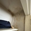 시흥-시흥-시흥-044 이미지