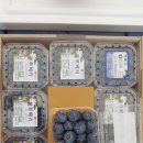 달이농장 이미지