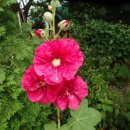 안하농장 이미지