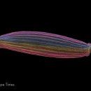 백두대간 자생씨앗 아름다움에 반하다 이미지