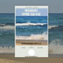 한국민들레도서관 | [한국북큐레이터협회 서포터즈 3기] 2025 북 큐레이터 2급 자격증 과정 2차시 수강후기