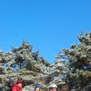 마당바위로 이미지