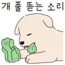 포도밭펜션