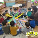 숲유치원 티스토리