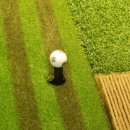 팬더스크린골프 이미지