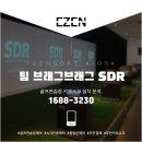 팀브래그브래그골프