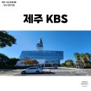 제주담다KBS제주점