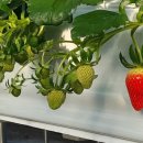 비량농원 이미지