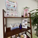 (주)디자인본인테리어 | 대구 애견샵인테리어 화이트톤의 깔끔한 디자인