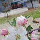 기곡농장 이미지