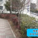 삼각동 824-1 이미지