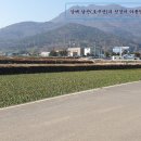 남해-236 이미지