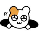 천연숲Soap