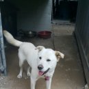 행복한자동차공업사 이미지