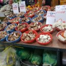 푸른청과 네이버블로그