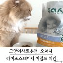 인휴먼라이프 | 고양이사료추천 «오아지 라이프스테이지 어덜트 치킨» 리얼 후기!🐱