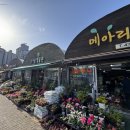 메아리농원