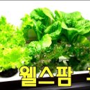 이영애농장 이미지