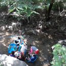 녹색향기 펜션 이미지